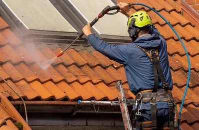 Démoussage et hydrofuge de toiture à Brombos